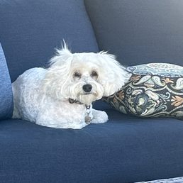 Lilly