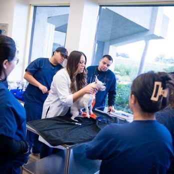 California Healing Arts College - Colleges & Universities Near Me - Carson, California
