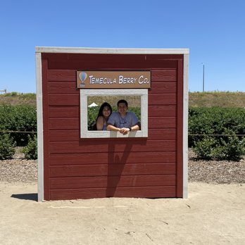 Temecula Berry - Farms Near Me - Temecula, California Temecula Berry - Farms Near Me - Temecula, California