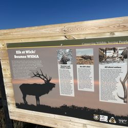 Wagonhound Rest Area