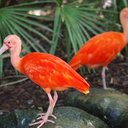 Zoo d'Asson
