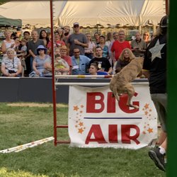 Boulder County Fair & Rodeo - Big air is right!