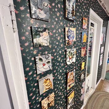 Smoky Mountain Cat House - Pet Stores Near Me - Pigeon Forge, Tennessee