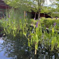 Saunders-Monticello Trail - Courtyard