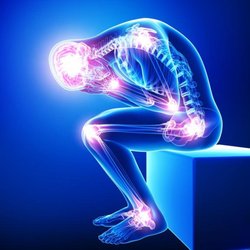 Mangan Chiropractic, Acupuncture & Nutrition Clinic - Untitled