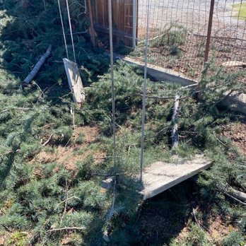HLI Tree Experts - Tree Services Near Me