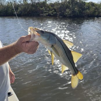 Anna Maria Charters - Nice snook - Fishing Near Me - Holmes Beach, Florida