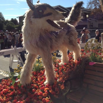 Float Fest - 2014 - safari animals on the Glendale float - Festivals Near Me - Pasadena, California Float Fest - 2014 - safari animals on the Glendale float - Festivals Near Me - Pasadena, California