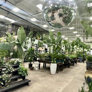 Selva Coffee House - Nursery inside - Coffee Roasteries Near Me - San Diego, California