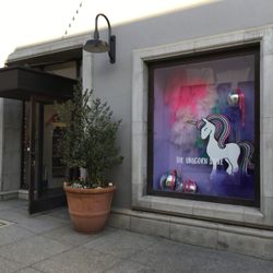 The Unicorn Store