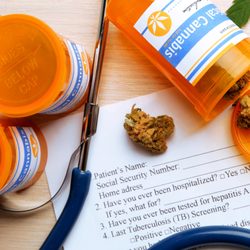 MJ MD Clinic - Cannabis flower bud, stethoscope and prescription bottles.