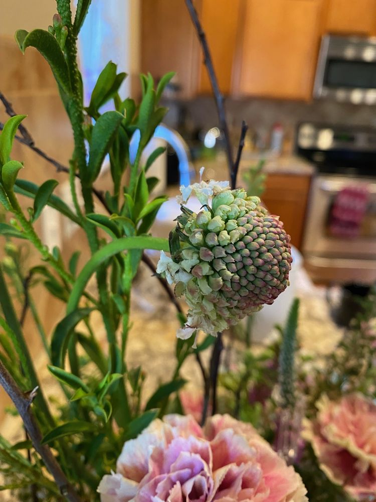 SWEETWATER A FLOWER MARKET Updated July 2024 12 Photos 2419 W