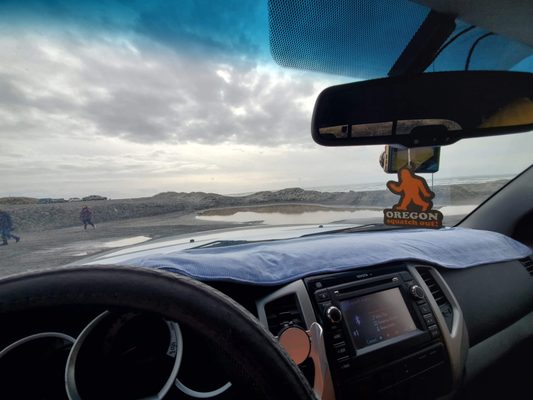 Wreck of the Peter Iredale by null