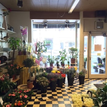 Dannebrogblomster - Dannebrogblomster på Vesterbrogade - Florists Near Me - Copenhagen, 84