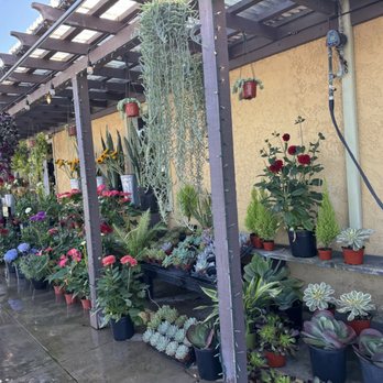 Devynn's Garden - Florists Near Me - Seal Beach, California
