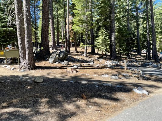 D. L. Bliss State Park by null