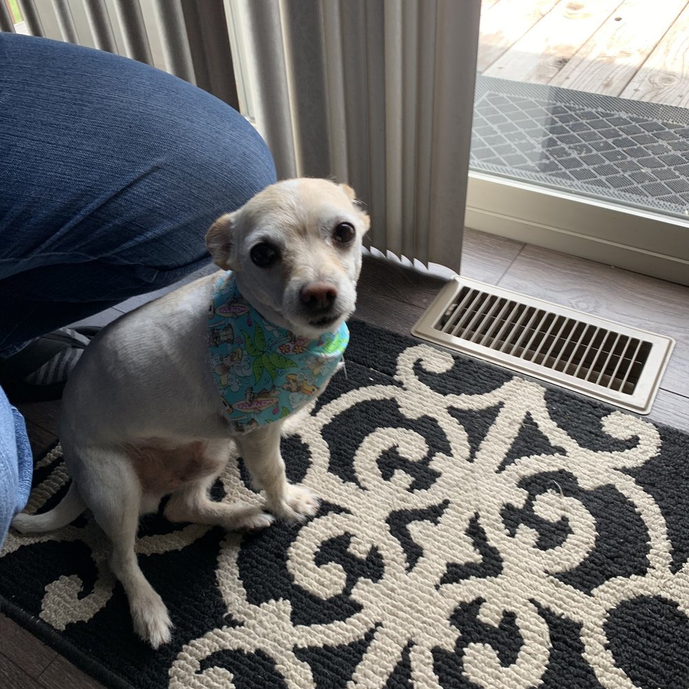 Olaf looking so handsome :) TY Jennifer! Olaf looking so handsome :) TY Jennifer!