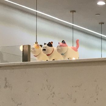 3Cat Handcrafted Beverage - 3 cats watching the entrance - Bubble Tea Near Me - San Gabriel, California
