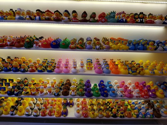 Amsterdam Duck Store by null