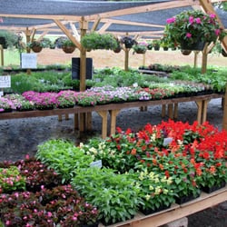 Tri-City Greenhouse