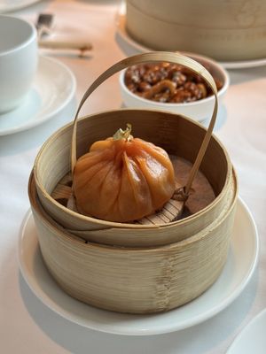 Above & Beyond by null