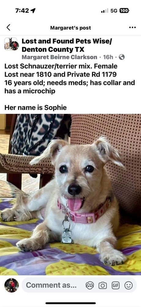 The Puppy Rescue Mission