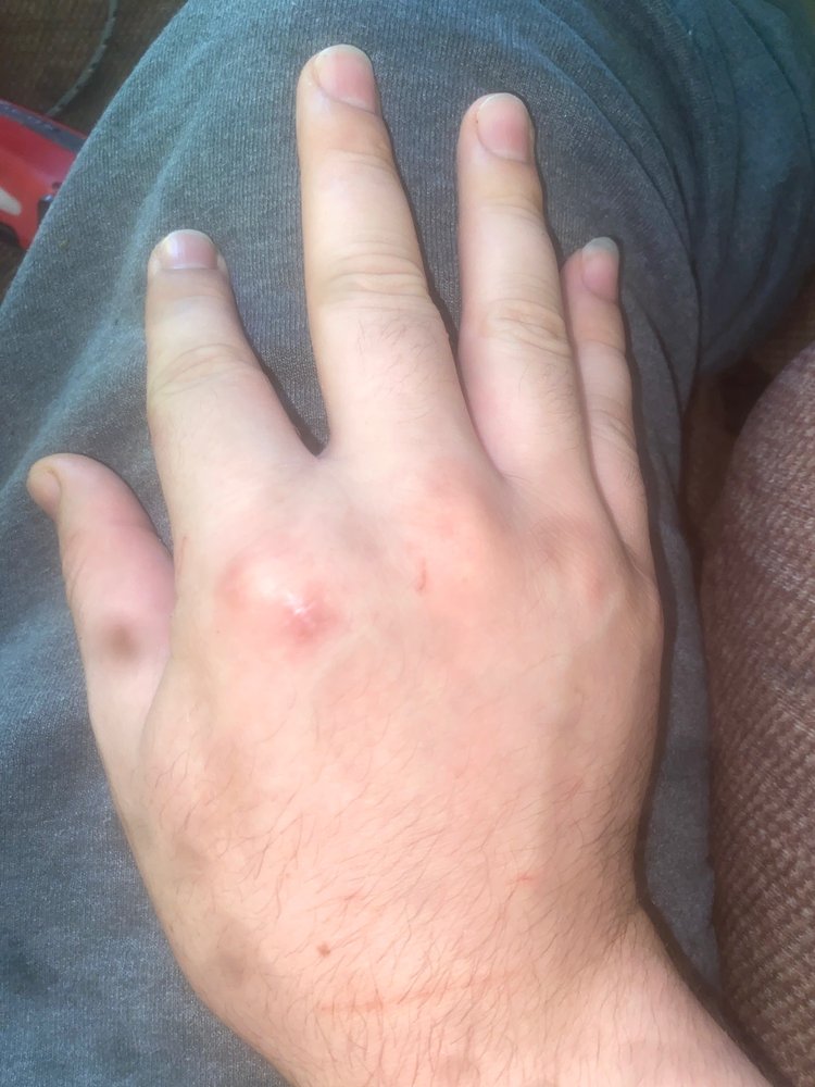 CAROLINAS CENTER FOR PLASTIC SURGERY JACKSONVILLE Updated September 2024 2145 Country Club