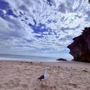Thousand Steps Beach - Amazing view! I love to take pictures of nature! So here they are! - Beaches Near Me - Laguna Beach, California Thousand Steps Beach - Amazing view! I love to take pictures of nature! So here they are! - Beaches Near Me - Laguna Beach, California