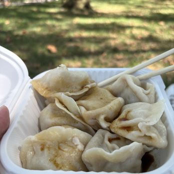 Lisa's Dumplings - Chinese Near Me - New York, New York Lisa's Dumplings - Chinese Near Me - New York, New York
