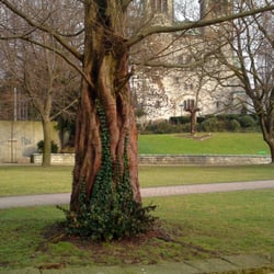 Abdinghofkirche - Abdinghofkirche über den Paderquellen