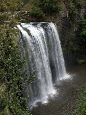 Whangarei Falls Holiday Park and YHA by null