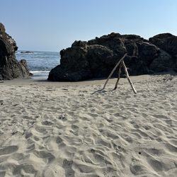 Shell Beach