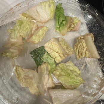 Noodles and Company - Rancid lettuce - Salad Near Me - Superior, Wisconsin