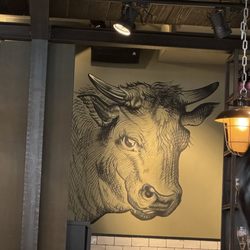 Koeien en Kaas - Cow