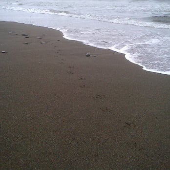 Sinkyone Wilderness State Park - Leave nothing but footprints ... - Parks Near Me