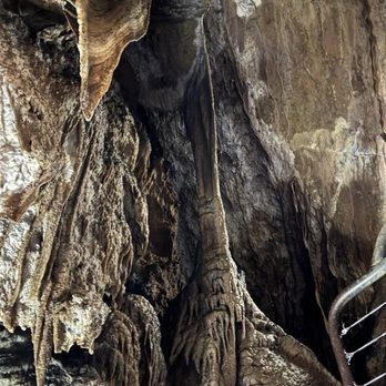 Gunns Plains Caves - Travel Services Near Me - Gunns Plains, TAS Gunns Plains Caves - Travel Services Near Me - Gunns Plains, TAS