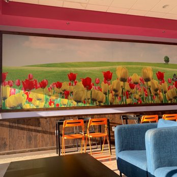 Mai's Teahouse - Decor - Coffee & Tea Near Me - Richmond, Texas