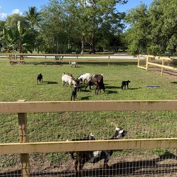 Pinto's Farm - Venues & Event Spaces Near Me - Miami, Florida