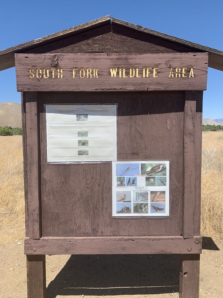 KERN RIVER PRESERVE Updated August 2024 35 Photos 18747 Highway