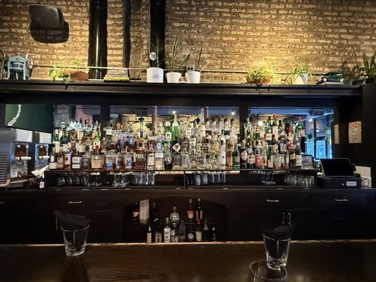 Moonflower by null Moonflower by null