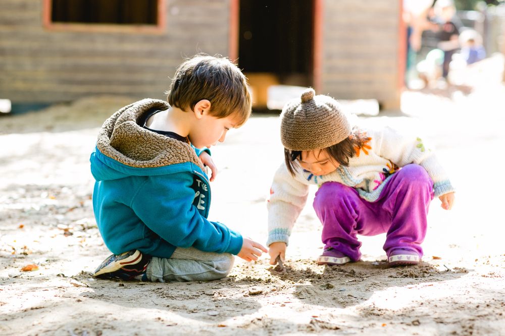 LINDGREN SCHOOL AND CAMP Updated September 2024 10 Photos 211