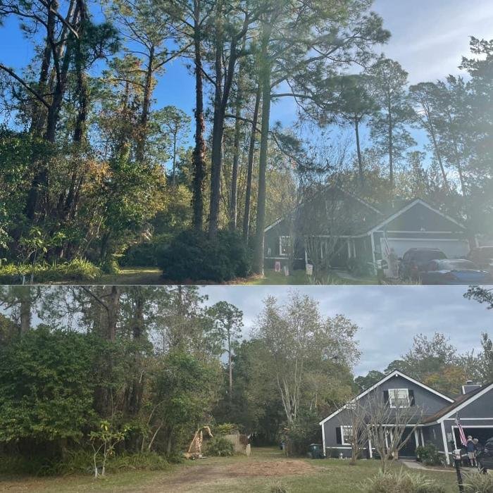 Northeast Florida Tree Experts - tree service in Jacksonville, FL