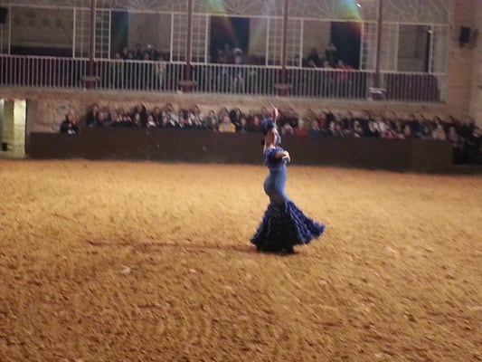 Caballerizas Reales by null