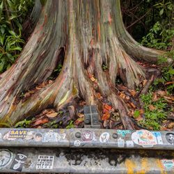 Aloha Sunshine Tours