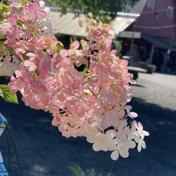 Garland Nursery - Landscape Architects or Designers Near Me - Corvallis, Oregon