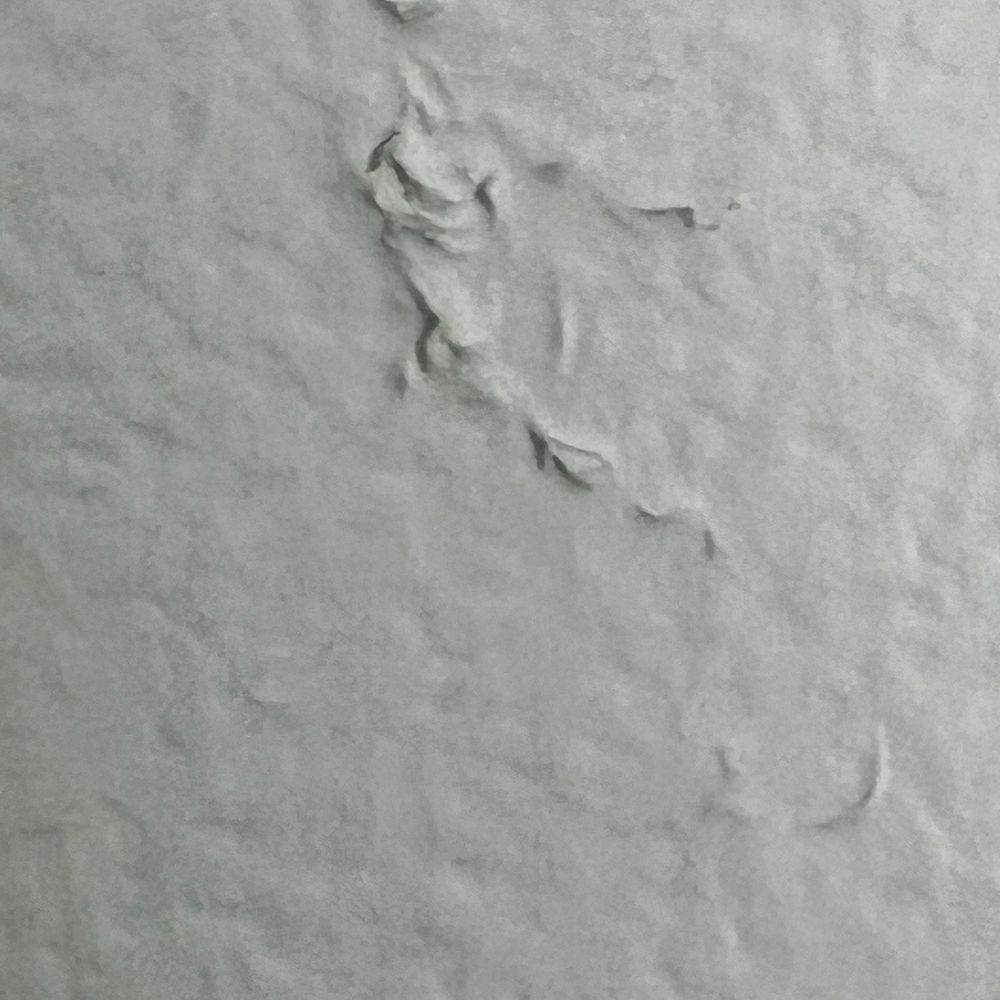 JC Painting & Drywall - Painters Near Me JC Painting & Drywall - Painters Near Me