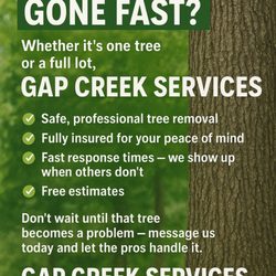 Gap Creek Services