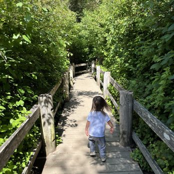 Jewel Lake - 2 year old friendly path - Lakes Near Me - Berkeley, California