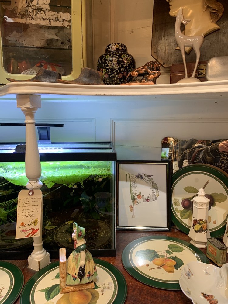 FLUTTER Updated July 2024 104 Photos & 67 Reviews 3948 N