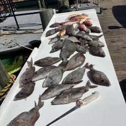 Fish Cleaning Service Fish Cleaning Service